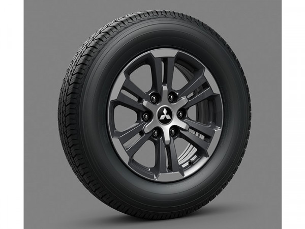 Triton-r17