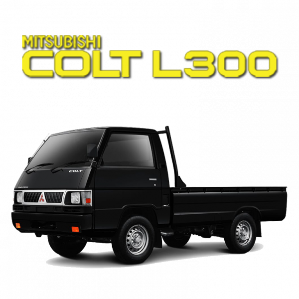 Cover l300